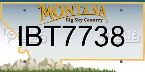 IBT7738 Montana License Plate