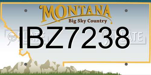 IBZ7238 Montana License Plate