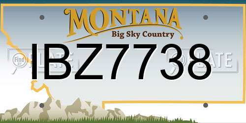 IBZ7738 Montana License Plate