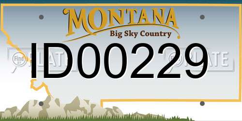 ID00229 Montana License Plate