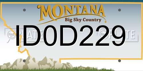ID0D229 Montana License Plate