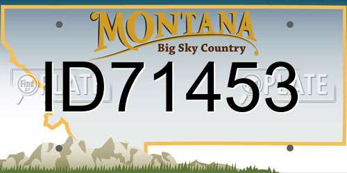ID71453 Montana License Plate