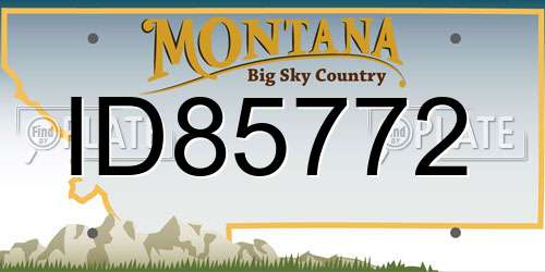 ID85772 Montana License Plate