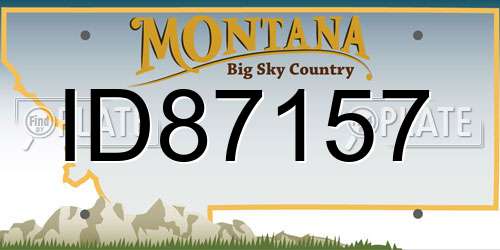 ID87157 Montana License Plate