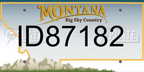 ID87182 Montana License Plate