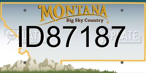 ID87187 Montana License Plate