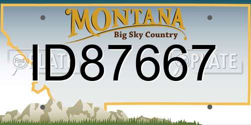 ID87667 Montana License Plate