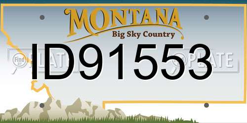 ID91553 Montana License Plate