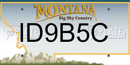 ID9B5C Montana License Plate