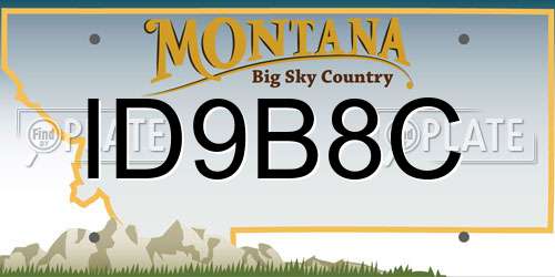 ID9B8C Montana License Plate