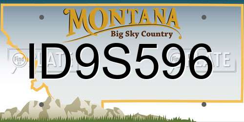 ID9S596 Montana License Plate