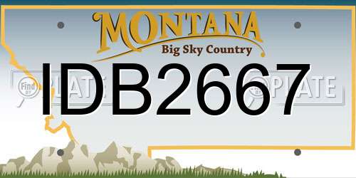 IDB2667 Montana License Plate
