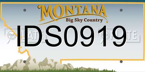 IDS0919 Montana License Plate
