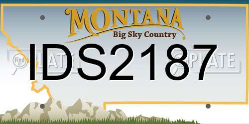IDS2187 Montana License Plate