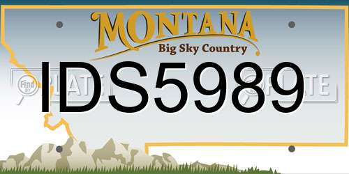 IDS5989 Montana License Plate