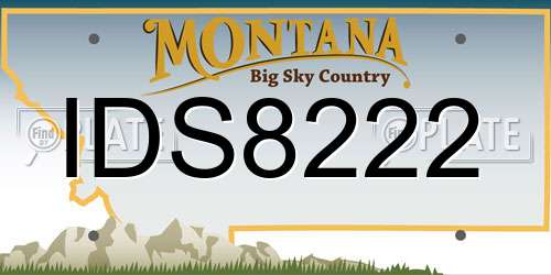 IDS8222 Montana License Plate