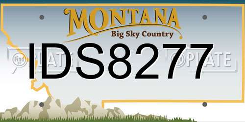 IDS8277 Montana License Plate