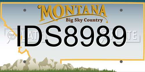 IDS8989 Montana License Plate