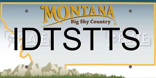 IDTSTTS Montana License Plate