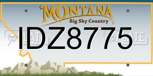 IDZ8775 Montana License Plate