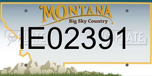 IE02391 Montana License Plate