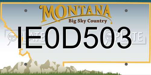 IE0D503 Montana License Plate