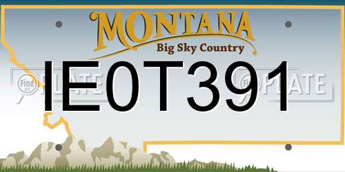 IE0T391 Montana License Plate