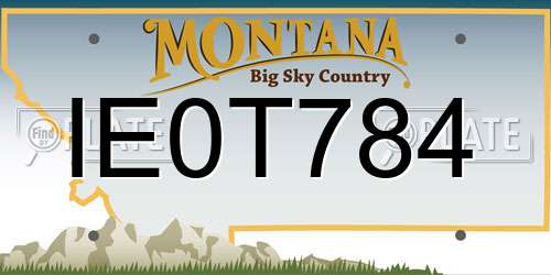 IE0T784 Montana License Plate