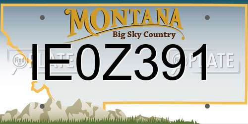 IE0Z391 Montana License Plate