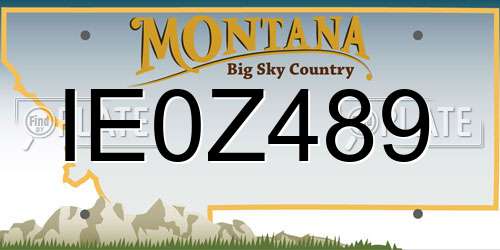 IE0Z489 Montana License Plate