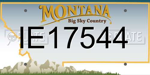 IE17544 Montana License Plate