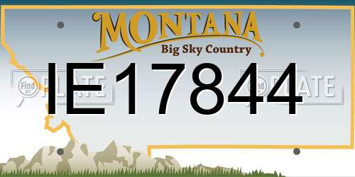IE17844 Montana License Plate