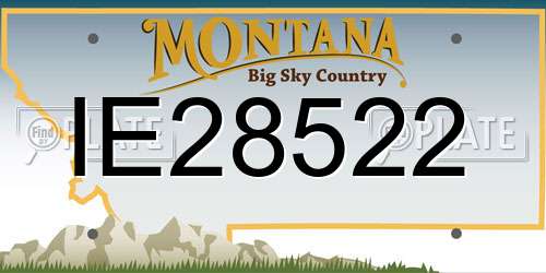 IE28522 Montana License Plate