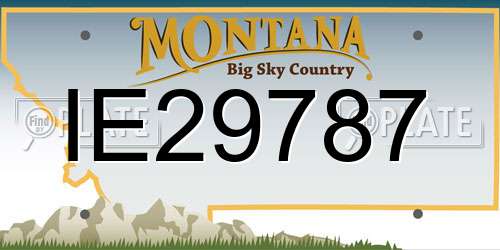 IE29787 Montana License Plate
