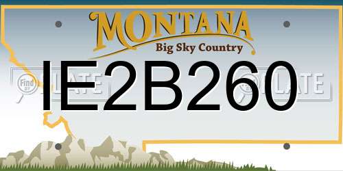 IE2B260 Montana License Plate