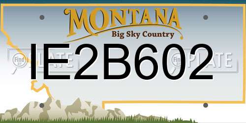 IE2B602 Montana License Plate