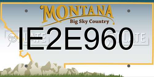 IE2E960 Montana License Plate