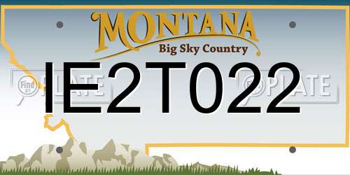 IE2T022 Montana License Plate