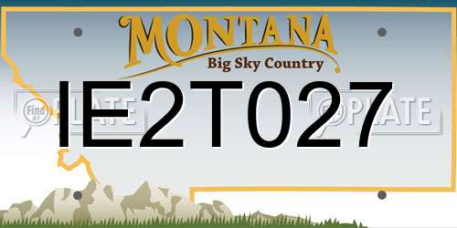 IE2T027 Montana License Plate