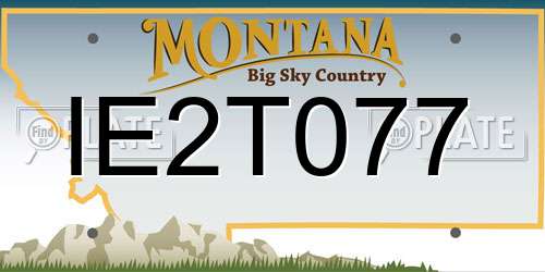 IE2T077 Montana License Plate