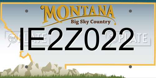 IE2Z022 Montana License Plate