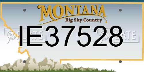 IE37528 Montana License Plate