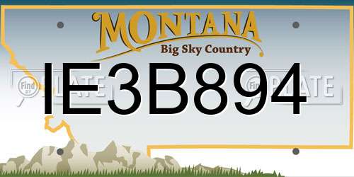 IE3B894 Montana License Plate