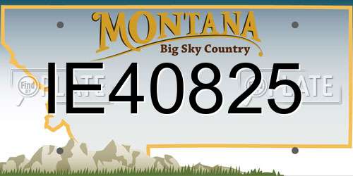 IE40825 Montana License Plate