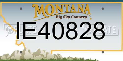 IE40828 Montana License Plate