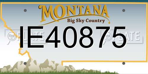 IE40875 Montana License Plate