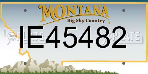 IE45482 Montana License Plate