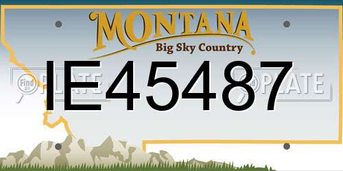 IE45487 Montana License Plate