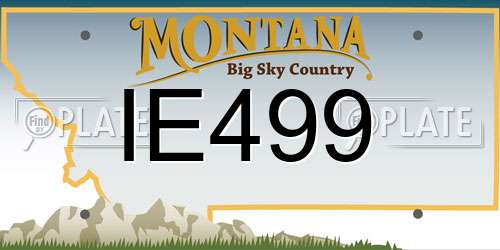 IE499 Montana License Plate