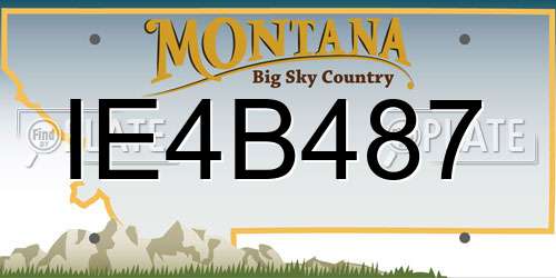 IE4B487 Montana License Plate